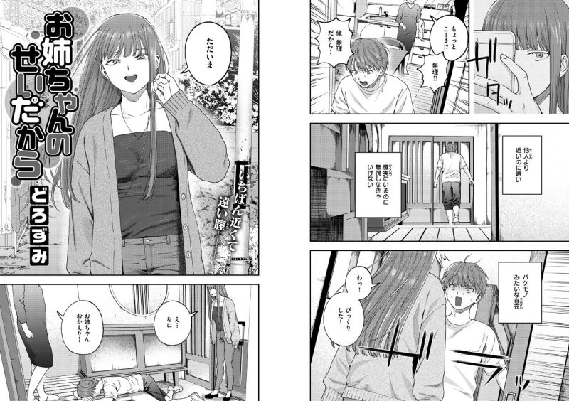 お姉ちゃんのせいだから